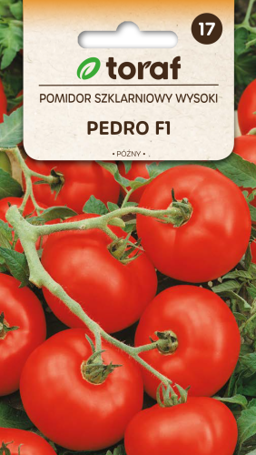 Pomidor szklarniowy Pedro F1  0,2g  / T /