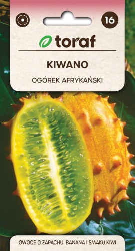 59003_58825