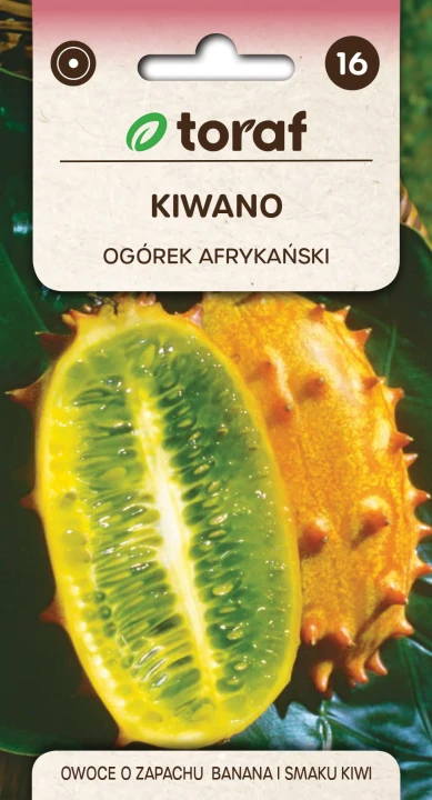 59003_58825