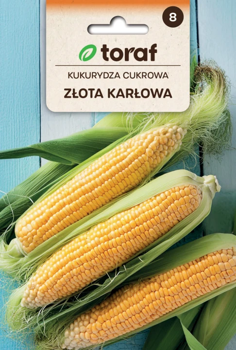 59095_58897