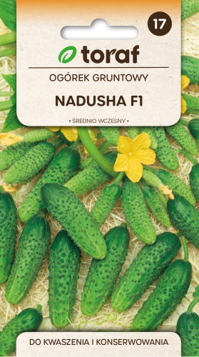Ogórek Nadusha  F1 1g  / T /