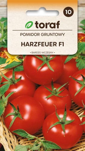 Pomidor gruntowy Harzfeuer  0,3g  / T /