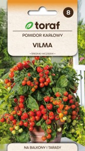 Pomidor gruntowy karł.Vilma 0,3g  / T /