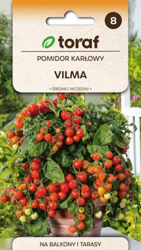 Pomidor gruntowy karł.Vilma 0,3g  / T /