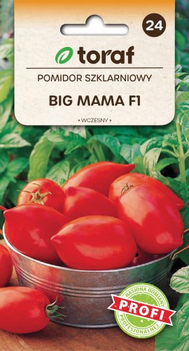 Pomidor szklarniowy Big Mama F1 20 szt.  / T /