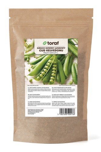Groch siewny Cud Kelvedonu 500g  / T /