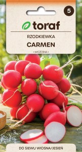 Rzodkiewka Carmen 10g  / T /