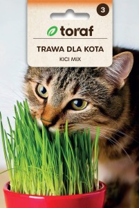 Trawa dla kota KICI MIX  30g  / T /