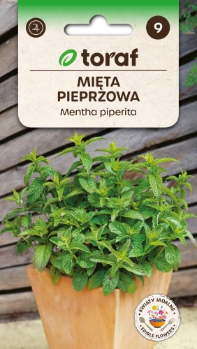 Mięta pieprzowa 0,1g  / T /