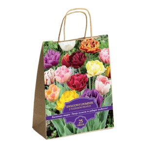Zestaw Prestige Tulipany pełne 25 cebulek