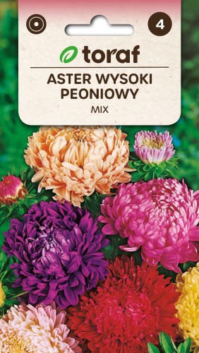 Aster wysoki peoniowy mix nasiona 1g  / T /