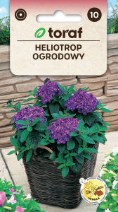 Heliotrop ogrodowy nasiona 1g  / T /