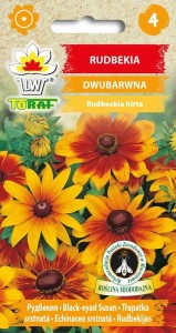 Rudbekia dwubarwna 1g  nasiona / T /