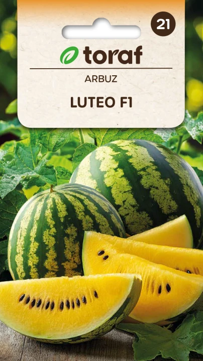 62843_59667