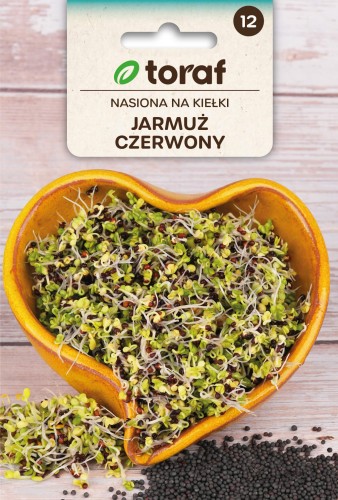 Nasiona na kiełki – Jarmuż czerwony 10g / T /