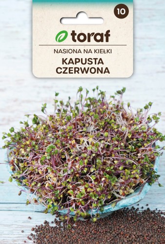 Nasiona na kiełki - Kapusta czerwona 10g  / T /