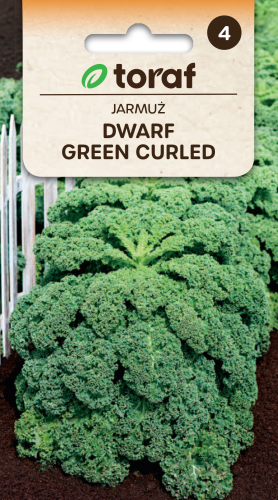 Jarmuż niski Dwarf Green Curled  1g / T /
