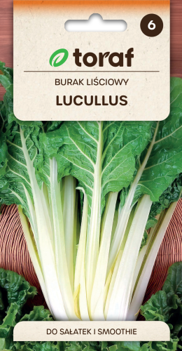 Burak liściowy Lucullus 5g  / T /