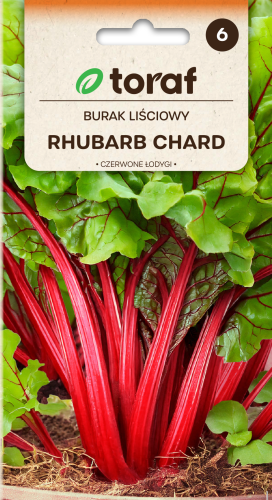 Burak liściowy Rhubarb Chard 5g  / T /