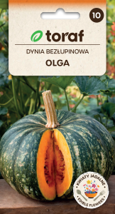 Dynia zwyczajna Olga  2g  / T /