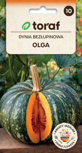 Dynia zwyczajna Olga  2g  / T /