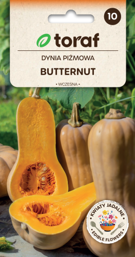 Dynia piżmowa  Butternut 5g  / T /