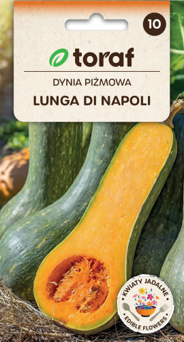 Dynia piżmowa Lunga di Napoli 4g  / T /