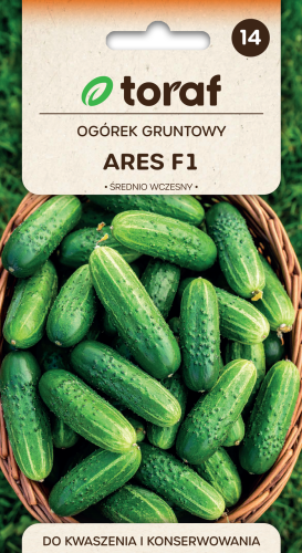 Ogórek gruntowy Ares F1 5g  / T /