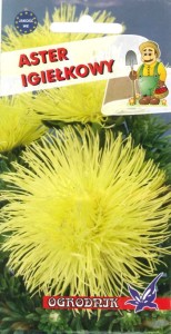 Aster igiełkowy żółty 1g  / O /