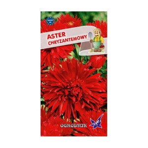 Aster chryzantemowy czerwony 1g  / O /