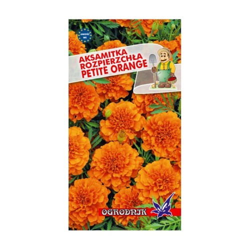 Aksamitka rozpierzchła Petite Orange 1g  / O /