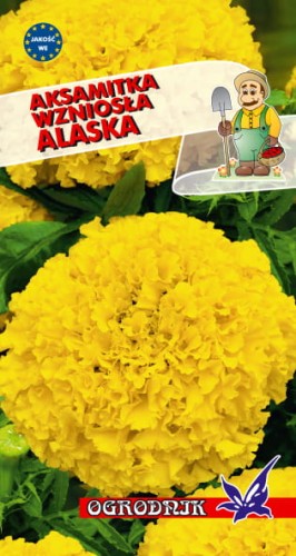 Aksamitka wzniosła Alaska 1g  / O /