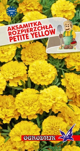 Aksamitka rozpierzchła Petite Yellow 1g  / O /