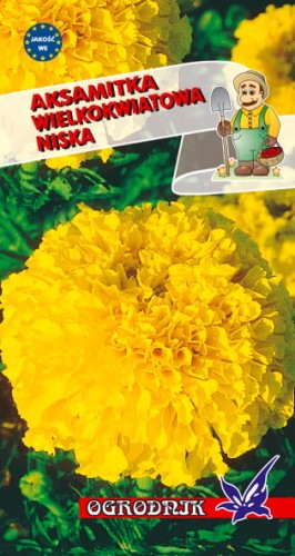 Aksamitka wielkokwiatowa niska żółta 0,5g  / O /