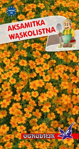 Aksamitka wąskolistna pomamańczowa 0,5g  / O /