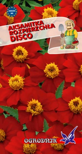 Aksamitka rozpierzchła Disco 0,5g  / O /