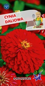 Cynia daliowa czerwona 1g  / O /