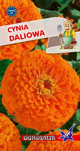 Cynia daliowa pomarańczowa 1g  / O /