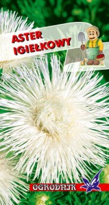 Aster igiełkowy biały 1g  / O /