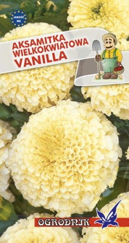 Aksamitka wielkokwiatowa Vanilla  0,1g  / O /