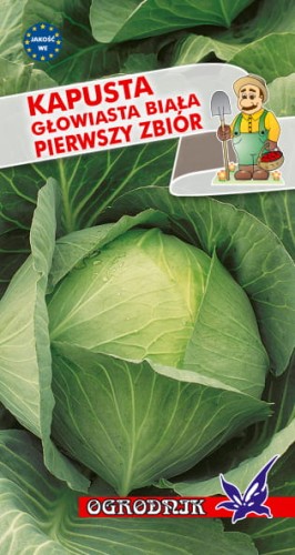 Kapusta głowiasta biała Pierwszy Zbiór 2g  / O /