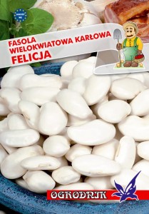 Fasola wielokwiatowa karłowa Felicja 40g  / O /
