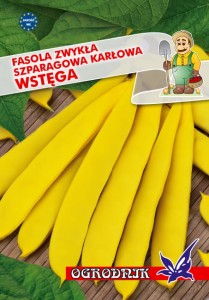 Fasola szparagowa karłowa szeroka Wstęga 30g / O /