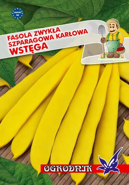 56582_59724