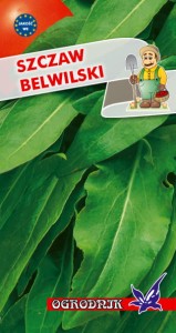 Szczaw Belwilski 2g  / O /