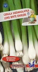 Cebula siedmiolatka Long White Ishikura 2g  / O /