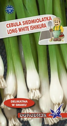 Cebula siedmiolatka Long White Ishikura 2g  / O /