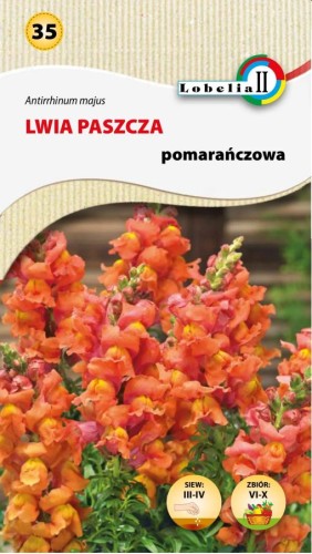 Lwia paszcza pomarańczowa 0,5g  / L /