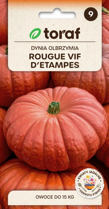 NEW-LOGO-Dynia-olbrzymia-ROUGE-VIF-DETAMPTES.png