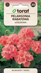 Pelargonia rabatowa łososiowa 0,05g  / T /